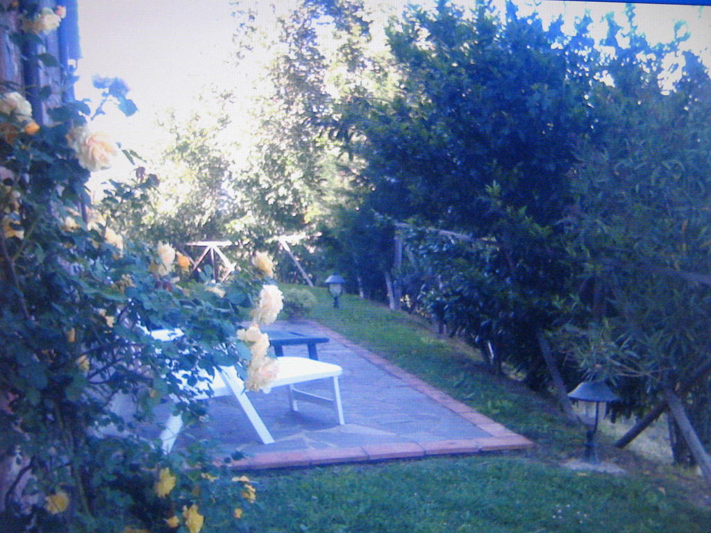 Certine Agriturismo Asciano Εξωτερικό φωτογραφία