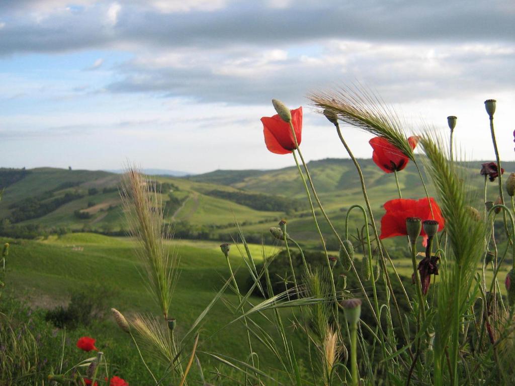 Certine Agriturismo Asciano Εξωτερικό φωτογραφία