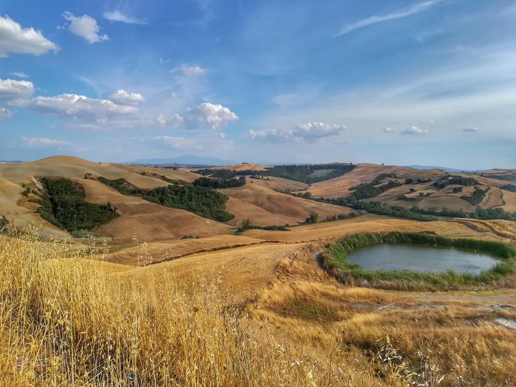 Certine Agriturismo Asciano Εξωτερικό φωτογραφία