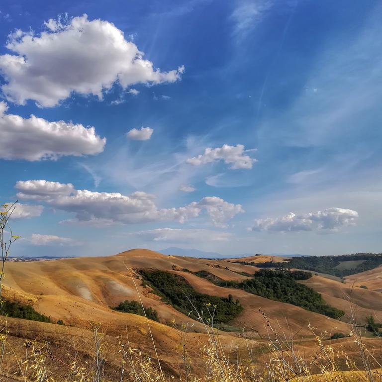 Certine Agriturismo Asciano Εξωτερικό φωτογραφία